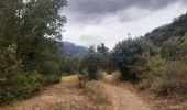 Tour Wandern Duilhac-sous-Peyrepertuse - boucle moulin de ribaute - duilhac - gorge du verdouble  - Photo 16