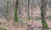 Trail Walking Camors - PR_56_Camors_BA_02_L-Eau_Circuit1b_20230218 - Photo 14