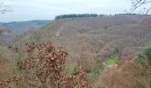 Tocht Te voet Dommershausen - Traumschleifen SaarHunsrück Baybachklamm - Photo 3