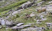 Randonnée Marche Aussois - descente du refuge de la dent parrainée. - Photo 12