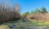 Randonnée Marche Lacroix-Saint-Ouen - en forêt de Compiègne_45_sur les Routes de Morienval et de Champlieu - Photo 14