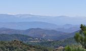 Tour Wandern La Garde-Freinet - les roches  blanches - Photo 5