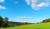 Tocht Stappen Stavelot - adresse francorchamps 10km 29-09-24 - Photo 15