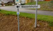 Tour Wandern Büllingen - wassererlebnispfad - Photo 5