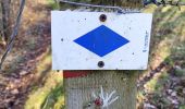 Randonnée Marche Comblain-au-Pont - Promenade vers le site naturel des tartines  - Photo 14