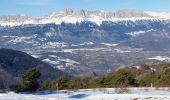 Randonnée Raquettes à neige Susville - les Merlins - Photo 4