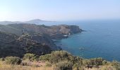 Tour Wandern Banyuls-sur-Mer - cap del troc . coll de gran bau . cap réderis . retour par le chemin du littoral  - Photo 4