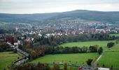 Tour Zu Fuß Bad Soden-Salmünster - Stolzenberger Ritterblick ( Spessartfährten ) - Photo 5