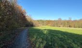 Trail Walking Oud-Heverlee - Zoete Water Meerdael 14,2 km - Photo 2