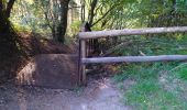 Trail On foot Schleswig - Wikingerland - Photo 1