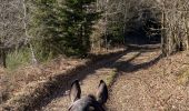 Trail Horseback riding Léglise - Légalise via Rancimont - Photo 2