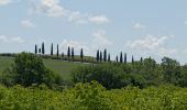 Trail On foot San Quirico d'Orcia - Casellona - Photo 6