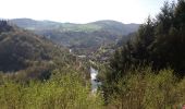 Trail Walking Saint-Privat-d'Allier - chemin compostelle saint privat d allier et saugues - Photo 1