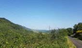 Randonnée Cyclotourisme Caudiès-de-Fenouillèdes - Caudiès-de-Fenouillères - Puivert - Photo 6