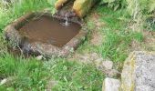 Trail Walking Peyrelevade - les Fontaines de Cezeyrat  - Photo 1