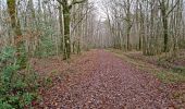 Tocht Stappen Villedômer - Villedomer - Étang de l'Arche - Photo 14