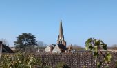Trail Walking Cormery - Cormery gare - Tauxigny - 19.5km 170m 4h35 (40mn) - 2025 03 02 - Photo 3