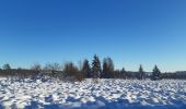 Randonnée Marche Waimes - botrange au dessus des nuages  - Photo 8