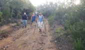 Trail Walking Roquebrune-sur-Argens - Les Petites Maures - Photo 7