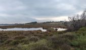 Trail Walking Narbonne - Port la Nautique  - Photo 9