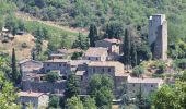 Tour Zu Fuß Gaiole in Chianti - Trekking tra i castelli 2 - Photo 3