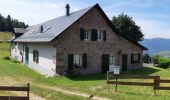 Trail Walking Hohrod - Circuit historique 1914-1918 Hohrodberg - Linge - Photo 18