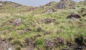 Trail Walking West Cork - Glengarriff - Ardrigole - Photo 16