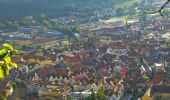 Tour Zu Fuß Gomadingen - Traufgang Schlossfelsen - Photo 7