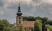 Percorso A piedi Ebensfeld - Keltenweg E - Photo 3