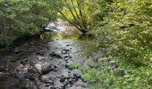 Randonnée Marche Royère-de-Vassivière - Boucle du Lac de Vassivière - Photo 4