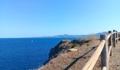 Randonnée Marche Cerbère - village des aloès - cap cerbère/ aller-retour - Photo 6