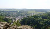 Tour Zu Fuß Vielsalm - Vielsalm jaune - Photo 5