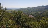 Tour Wandern Barr - 3 châteaux depuis Barr - Photo 17