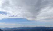 Tocht Stappen Saint-Martin-en-Vercors - Pas st Martin - Photo 12