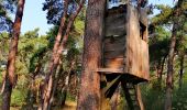 Trail Walking Lommel - Le Sahara de Lommel  - Photo 10