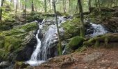 Tour Wandern Plancher-les-Mines - Cascades de la Goutte des Saules - Belvédère - Grotte St Antoine - Photo 14