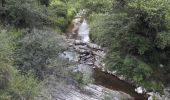 Tour Wandern Berre-les-Alpes - Berre les Alpes  l'Escarène - Photo 1