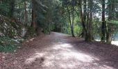 Trail Walking Pontarlier - FORT MALHER DEPUIS LE CAMPING DU LARMONT - Photo 12