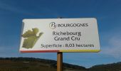 Tour Wandern Chambolle-Musigny - 20211015 - Photo 3