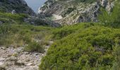 Tocht Trail Ensuès-la-Redonne - cote bleue - Photo 19