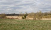 Trail Walking Briarres-sur-Essonne - francorville - Photo 1