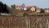 Excursión A pie Bodolz - Nordic-Walking Bayerischer Bodensee Bodolz R16 : Taubenberg Runde - Photo 5