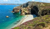 Excursión Senderismo Crozon - Boucle 18 km Morgat Pointe de Dinan - Photo 4