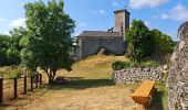 Trail Walking Le Malzieu-Ville - Malzieu /Tour d'apcher / Porte des fees - Photo 4