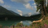 Percorso A piedi Rasun - Anterselva - Seerundweg - Photo 7