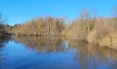 Tour Zu Fuß Fontainebleau - Boucle 28 km en forêt de Fontainebleau  - Photo 3