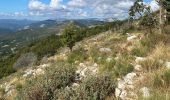 Trail Walking Saint-Vallier-de-Thiey - Col de la faye / col du ferie  - Photo 3