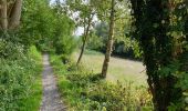 Tour Elektrofahrrad Ronse - Renaix - Nukerke - Koppenberg - schavaert - Photo 1