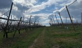 Trail  Saint-Uze - Rando des potiers St uzes 2025 - Photo 1