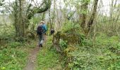 Excursión Senderismo Louvie-Juzon - LOUVIE-JUZON les tourbieres G3  - Photo 5